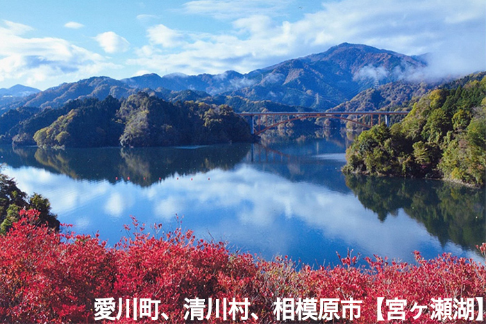 愛川町、清川村、相模原市