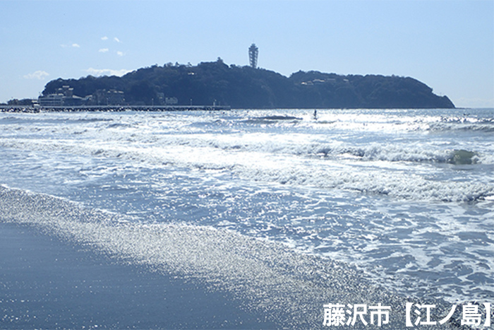 藤沢市