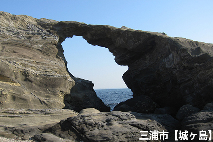 三浦市