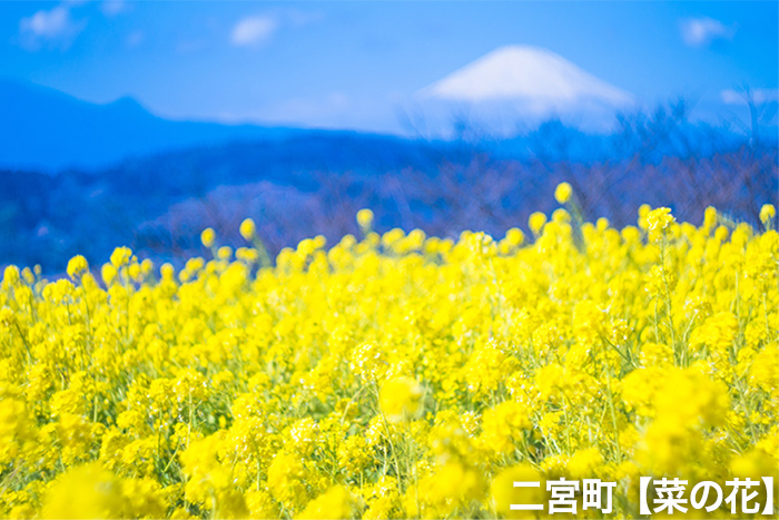 二宮町